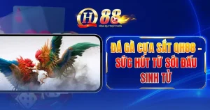 da-ga-cua-sat-qh88-suc-hut-tu-soi-dau-sinh-tu